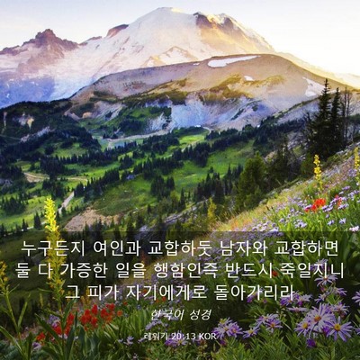 Picture 03 - 레위기 20:13 KOR - 누구든지 여인과 교합하둣 남자와 - Bible Verse Picture