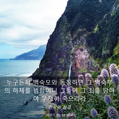 Picture 03 - 레위기 20:20 KOR - 누구든지 백숙모와 동침하면 그 - Bible Verse Picture