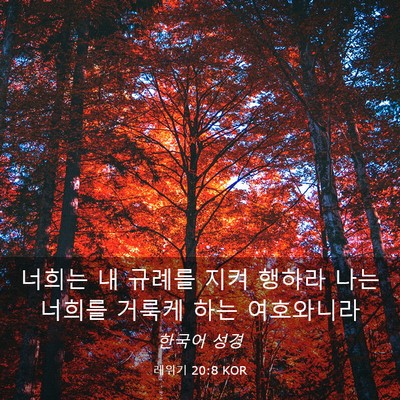 Picture 03 - 레위기 20:8 KOR - 너희는 내 규례를 지켜 행하라 나는 - Bible Verse Picture
