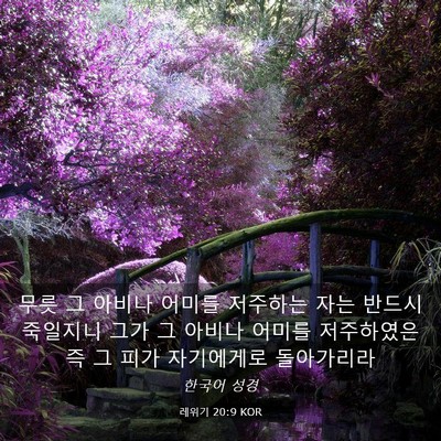 Picture 03 - 레위기 20:9 KOR - 무릇 그 아비나 어미를 저주하는 - Bible Verse Picture