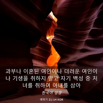 Picture 03 - 레위기 21:14 KOR - 과부나 이혼된 여인이나 더러운 - Bible Verse Picture