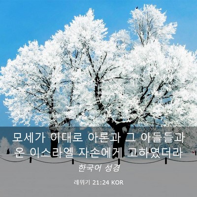Picture 03 - 레위기 21:24 KOR - 모세가 이대로 아론과 그 아들들과 - Bible Verse Picture
