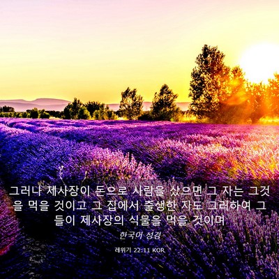 Picture 03 - 레위기 22:11 KOR - 그러나 제사장이 돈으로 사람을 - Bible Verse Picture