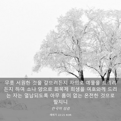 Picture 03 - 레위기 22:21 KOR - 무릇 서원한 것을 갚으려든지 자의로 - Bible Verse Picture