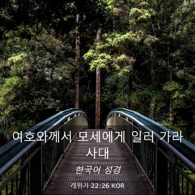Picture 03 - 레위기 22:26 KOR - 여호와께서 모세에게 일러 - Bible Verse Picture