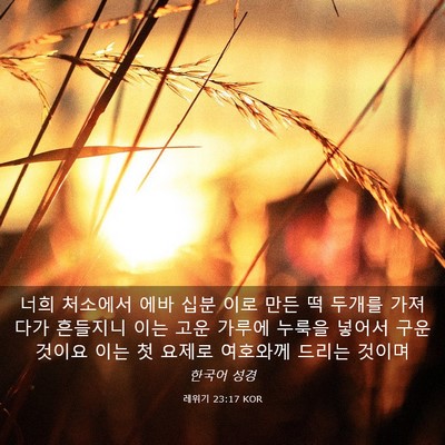 Picture 03 - 레위기 23:17 KOR - 너희 처소에서 에바 십분 이로 만든 - Bible Verse Picture