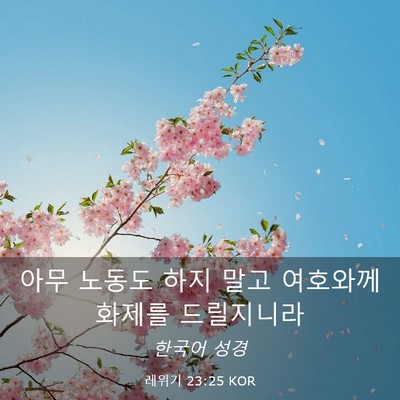Picture 03 - 레위기 23:25 KOR - 아무 노동도 하지 말고 여호와께 - Bible Verse Picture