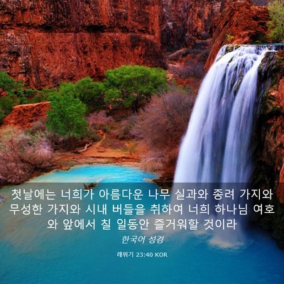 Picture 03 - 레위기 23:40 KOR - 첫날에는 너희가 아름다운 나무 - Bible Verse Picture