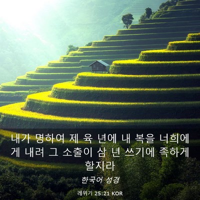 Picture 03 - 레위기 25:21 KOR - 내가 명하여 제 육 년에 내 복을 - Bible Verse Picture