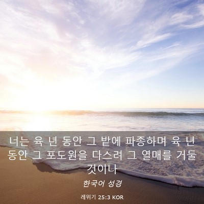 Picture 03 - 레위기 25:3 KOR - 너는 육 년 동안 그 밭에 파종하며 육 - Bible Verse Picture