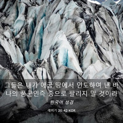 Picture 03 - 레위기 25:42 KOR - 그들은 내가 애굽 땅에서 인도하여 - Bible Verse Picture