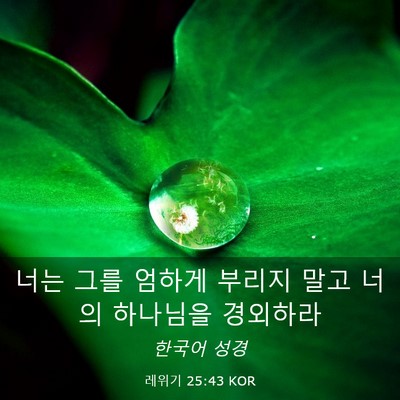 Picture 03 - 레위기 25:43 KOR - 너는 그를 엄하게 부리지 말고 너의 - Bible Verse Picture