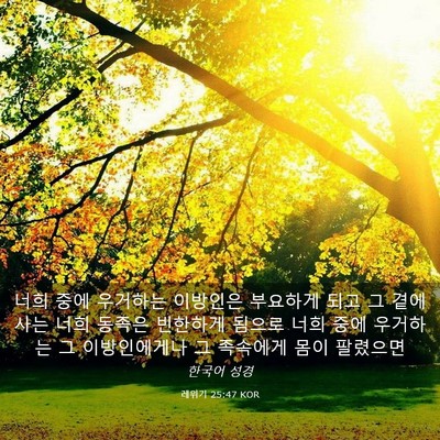 Picture 03 - 레위기 25:47 KOR - 너희 중에 우거하는 이방인은 - Bible Verse Picture