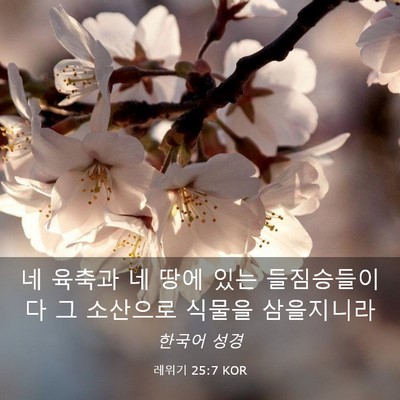 Picture 03 - 레위기 25:7 KOR - 네 육축과 네 땅에 있는 들짐승들이 - Bible Verse Picture