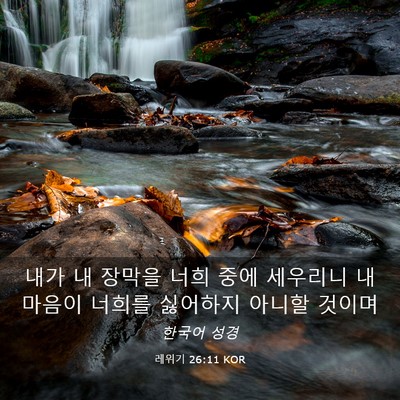 Picture 03 - 레위기 26:11 KOR - 내가 내 장막을 너희 중에 세우리니 - Bible Verse Picture