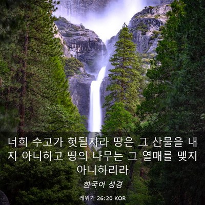 Picture 03 - 레위기 26:20 KOR - 너희 수고가 헛될지라 땅은 그 - Bible Verse Picture