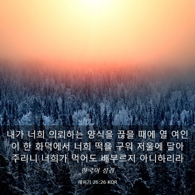 Picture 03 - 레위기 26:26 KOR - 내가 너희 의뢰하는 양식을 끊을 - Bible Verse Picture