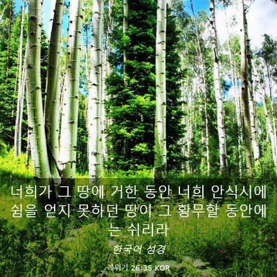 Picture 03 - 레위기 26:35 KOR - 너희가 그 땅에 거한 동안 너희 - Bible Verse Picture