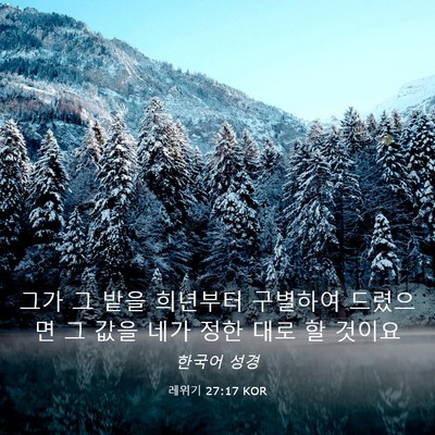 Picture 03 - 레위기 27:17 KOR - 그가 그 밭을 희년부터 구별하여 - Bible Verse Picture