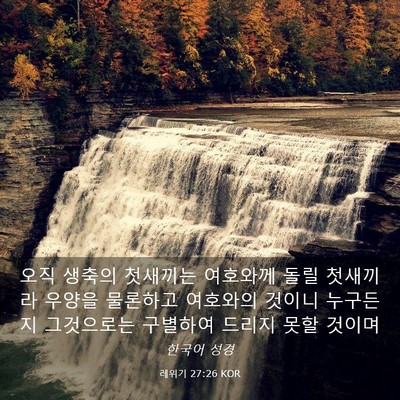 Picture 03 - 레위기 27:26 KOR - 오직 생축의 첫새끼는 여호와께 돌릴 - Bible Verse Picture