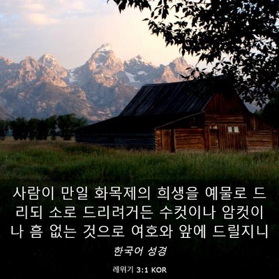 Picture 03 - 레위기 3:1 KOR - 사람이 만일 화목제의 희생을 예물로 - Bible Verse Picture