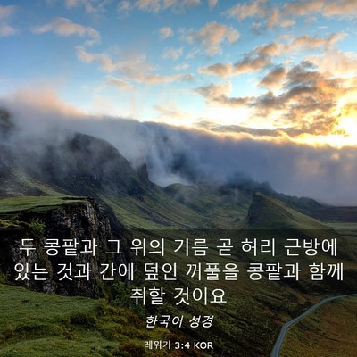 Picture 03 - 레위기 3:4 KOR - 두 콩팥과 그 위의 기름 곧 허리 - Bible Verse Picture