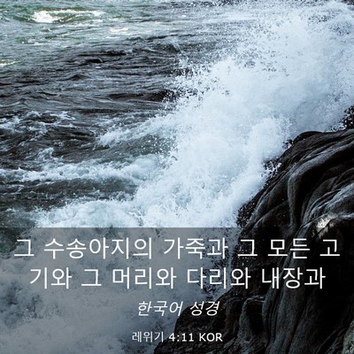 Picture 03 - 레위기 4:11 KOR - 그 수송아지의 가죽과 그 모든 - Bible Verse Picture