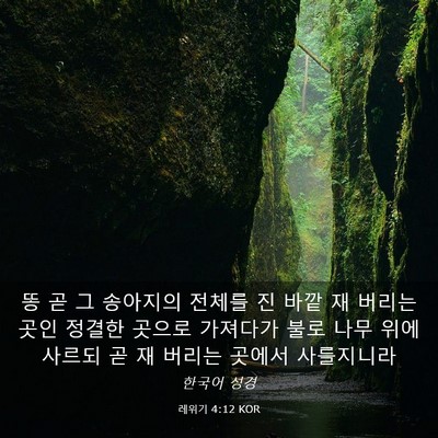 Picture 03 - 레위기 4:12 KOR - 똥 곧 그 송아지의 전체를 진 바깥 재 - Bible Verse Picture