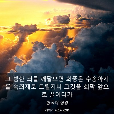 Picture 03 - 레위기 4:14 KOR - 그 범한 죄를 깨달으면 회중은 - Bible Verse Picture