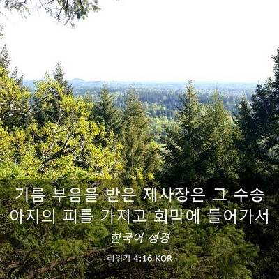 Picture 03 - 레위기 4:16 KOR - 기름 부음을 받은 제사장은 그 - Bible Verse Picture