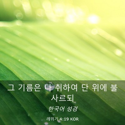 Picture 03 - 레위기 4:19 KOR - 그 기름은 다 취하여 단 위에 - Bible Verse Picture