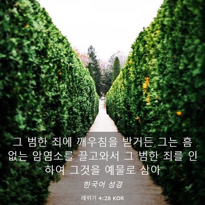 Picture 03 - 레위기 4:28 KOR - 그 범한 죄에 깨우침을 받거든 그는 - Bible Verse Picture