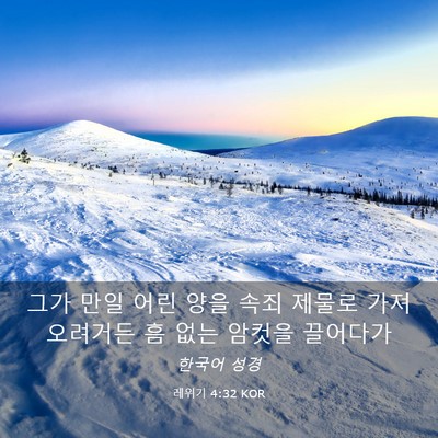 Picture 03 - 레위기 4:32 KOR - 그가 만일 어린 양을 속죄 제물로 - Bible Verse Picture