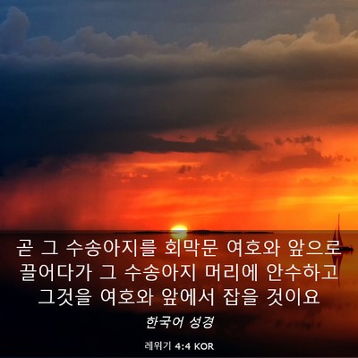 Picture 03 - 레위기 4:4 KOR - 곧 그 수송아지를 회막문 여호와 - Bible Verse Picture