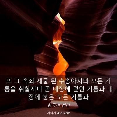 Picture 03 - 레위기 4:8 KOR - 또 그 속죄 제물 된 수송아지의 모든 - Bible Verse Picture