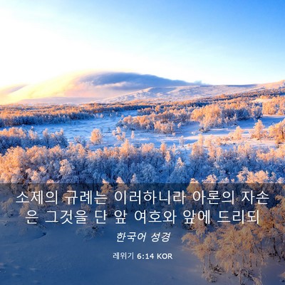 Picture 03 - 레위기 6:14 KOR - 소제의 규례는 이러하니라 아론의 - Bible Verse Picture