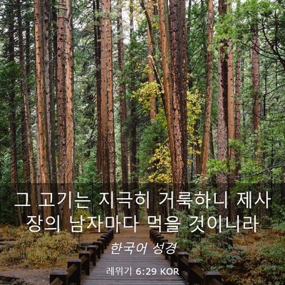 Picture 03 - 레위기 6:29 KOR - 그 고기는 지극히 거룩하니 제사장의 - Bible Verse Picture