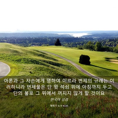 Picture 03 - 레위기 6:9 KOR - 아론과 그 자손에게 명하여 이르라 - Bible Verse Picture