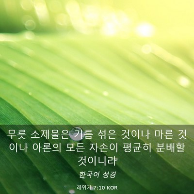 Picture 03 - 레위기 7:10 KOR - 무릇 소제물은 기름 섞은 것이나 - Bible Verse Picture