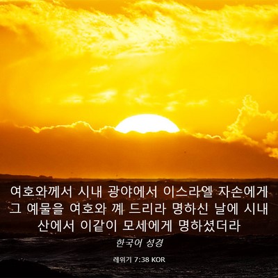 Picture 03 - 레위기 7:38 KOR - 여호와께서 시내 광야에서 이스라엘 - Bible Verse Picture