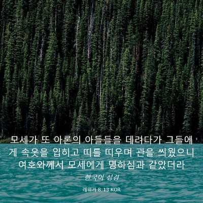 Picture 03 - 레위기 8:13 KOR - 모세가 또 아론의 아들들을 데려다가 - Bible Verse Picture