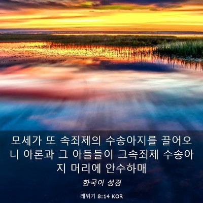 Picture 03 - 레위기 8:14 KOR - 모세가 또 속죄제의 수송아지를 - Bible Verse Picture
