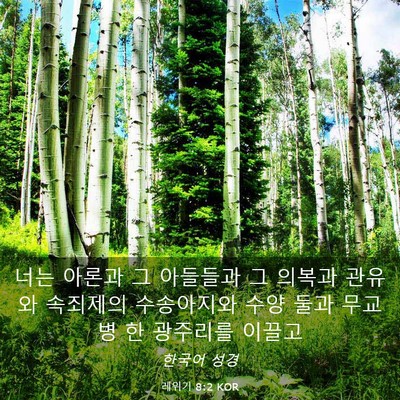 Picture 03 - 레위기 8:2 KOR - 너는 아론과 그 아들들과 그 의복과 - Bible Verse Picture