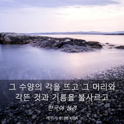 Picture 03 - 레위기 8:20 KOR - 그 수양의 각을 뜨고 그 머리와 각뜬 - Bible Verse Picture