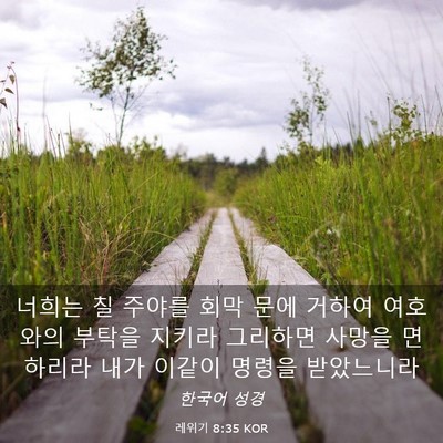 Picture 03 - 레위기 8:35 KOR - 너희는 칠 주야를 회막 문에 거하여 - Bible Verse Picture