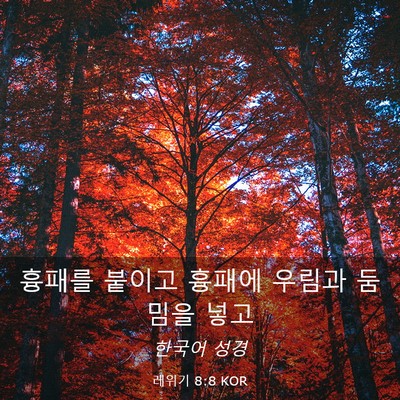 Picture 03 - 레위기 8:8 KOR - 흉패를 붙이고 흉패에 우림과 둠밈을 - Bible Verse Picture