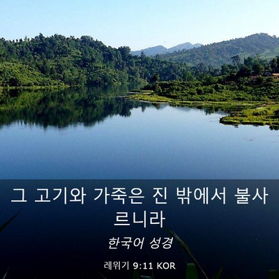Picture 03 - 레위기 9:11 KOR - 그 고기와 가죽은 진 밖에서 - Bible Verse Picture