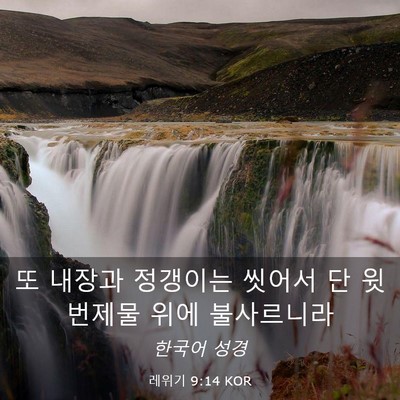 Picture 03 - 레위기 9:14 KOR - 또 내장과 정갱이는 씻어서 단 윗 - Bible Verse Picture