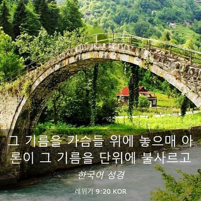 Picture 03 - 레위기 9:20 KOR - 그 기름을 가슴들 위에 놓으매 - Bible Verse Picture
