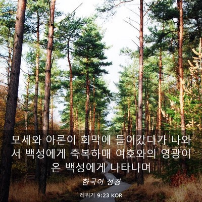 Picture 03 - 레위기 9:23 KOR - 모세와 아론이 회막에 들어갔다가 - Bible Verse Picture